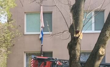 FOTO: Na sídlisku Juh v Trenčíne bolo rušno