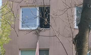 FOTO: Na sídlisku Juh v Trenčíne bolo rušno