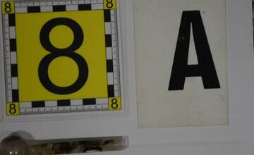 FOTO: Stopka drogovému biznisu. Policajti zadržali dvojicu dílerov