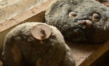 FOTO: Mestá duchov Černobyľ a Pripjať