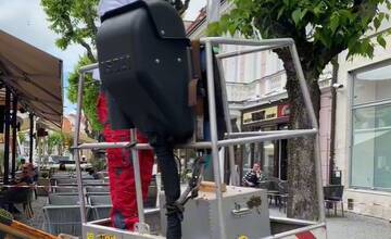 FOTO: Odchyt včiel z Mierového námestia