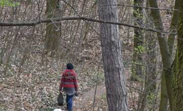 FOTO: Mesto vyzýva návštevníkov Breziny na ohľaduplnosť 