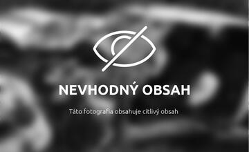 FOTO: Tragická dopravná nehoda hasičov a policajtov na diaľnici D1 pri Novom Meste nad Váhom