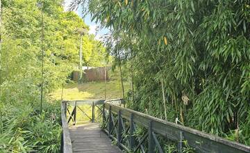 FOTO: Ničenie bambusu v Národnej zoologickej záhrade Bojnice