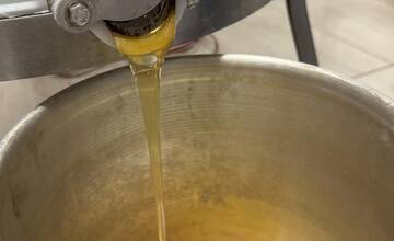 FOTO: Mesto Dubnica nad Váhom má svoj prvý med