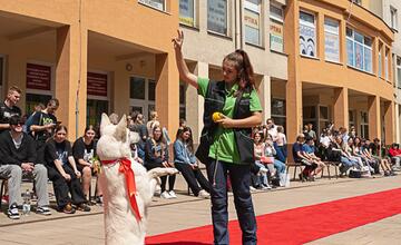 FOTO: Módna prehliadka v Púchove zaplnila pešiu zónu. Študenti prezentovali vlastnoručne ušité modely