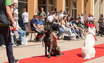 FOTO: Módna prehliadka v Púchove zaplnila pešiu zónu. Študenti prezentovali vlastnoručne ušité modely