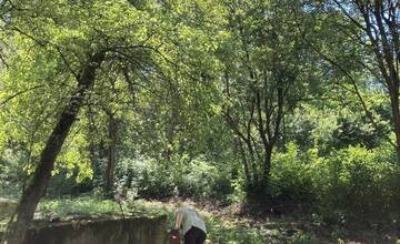 FOTO: Komunitná záhrada v Handlovej