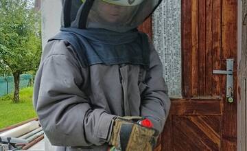 FOTO: Hasiči z Nitrianskeho Pravna vyrazili kvôli hmyzu do Malinovej