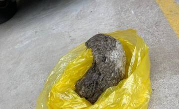 FOTO: Hasiči z Nitrianskeho Pravna vyrazili kvôli hmyzu do Malinovej