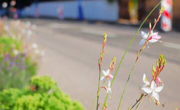 FOTO: Oprava chodníka v Dubnici nad Váhom
