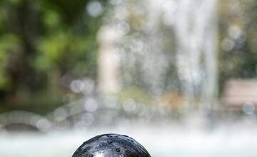 FOTO: Fontána v Novom Meste nad Váhom je opätovne spustená. Vyžadovala si rekonštrukciu