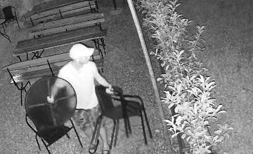 FOTO: Dva úspešné zásahy proti poškodzovaniu a kradnutiu majú za sebou policajti z DnV