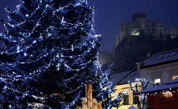 FOTO: Mesto Trenčín hľadá vhodný vianočný stromček na námestie