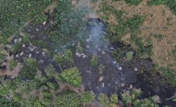 FOTO: V obci Veľké Uherce horelo. Požiar lesného porastu hasilo vyše 50 hasičov