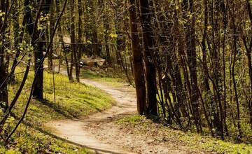 FOTO: Trenčín pripravuje zmeny parkovania na Brezine