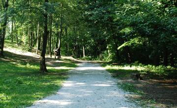 FOTO: Trenčín pripravuje zmeny parkovania na Brezine