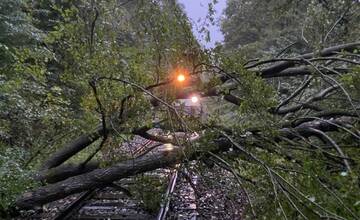 FOTO: Hasiči Trenčianskeho kraja odstraňovali spadnutý strom na železničnom priecestí pri Trenčíne