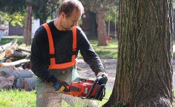 FOTO: Dubničania sa obávajú, že ich mesto sa mení na betónovú džungľu. Dubnica nad Váhom v týchto dňoch vyrubuje stromy