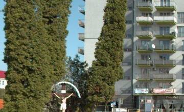 FOTO: Dubničania sa obávajú, že ich mesto sa mení na betónovú džungľu. Dubnica nad Váhom v týchto dňoch vyrubuje stromy