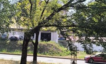 FOTO: Dubničania sa obávajú, že ich mesto sa mení na betónovú džungľu. Dubnica nad Váhom v týchto dňoch vyrubuje stromy