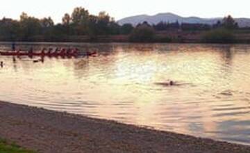FOTO: Labuť na ostrove v Trenčíne roztrhalo zviera 