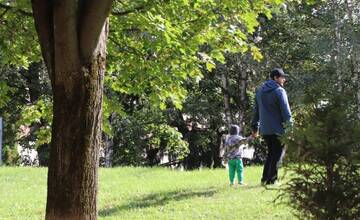 FOTO: Výsadba nových stromov v Dubnici nad Váhom