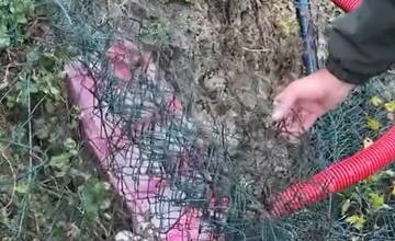FOTO: Dôchodkyni sa zasekla noha v pletive, pomoci sa dočkala až o polnoci