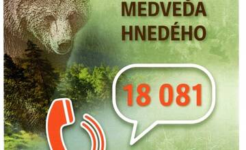 FOTO: Medveď sa pohyboval v blízkosti mesta Prievidza