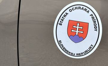 FOTO: Medveď po sebe zanechal stopy v mestskej časti Považskej Bystrice Orlové. Situáciu už rieši zásahový tím