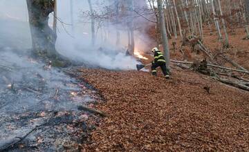 FOTO: Les v plameňoch