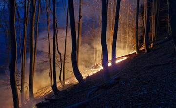 FOTO: Les v plameňoch