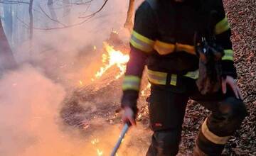 FOTO: Les v plameňoch