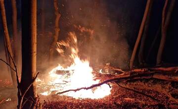 FOTO: Les v plameňoch