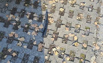 FOTO: Prievidžanom niekto ničí autá. Našli si vytrhnuté a zlomené stierače, no niektorým rozbili aj sklá na oknách