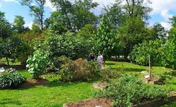 FOTO: V priestoroch mesta Považská Bystrica vznikne jedlý ostrov