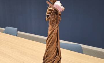 FOTO: Trenčianska nemocnica získala vzácne ocenenie