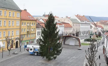 FOTO: Na Mierovom námestí v Trenčíne už stojí 17-metrový smrek