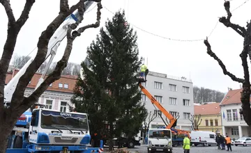 FOTO: Na Mierovom námestí v Trenčíne už stojí 17-metrový smrek