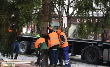 FOTO: Na Mierovom námestí v Trenčíne už stojí 17-metrový smrek