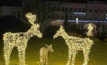 FOTO: Poškodená vianočná výzdoba v Partizánskom. Sobík zo sobej rodinky skončil zničený