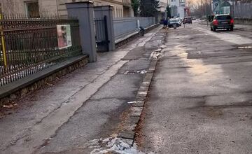 FOTO: Trenčanov trápi výrub stromov na známej ulici v meste