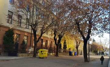 FOTO: Trenčanov trápi výrub stromov na známej ulici v meste