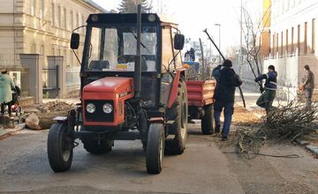 FOTO: Trenčanov trápi výrub stromov na známej ulici v meste