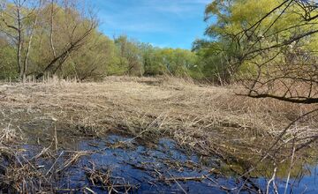 FOTO: Nenechajte si ujsť exkurziu do výnimočného prírodného územia uprostred mesta Trenčín
