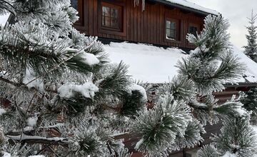 FOTO: Drevenice Terchová ponúkajú výhodné jarné pobyty