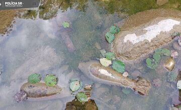 FOTO: Muž našiel pri Trenčíne nevybuchnutú trieštivú mínu