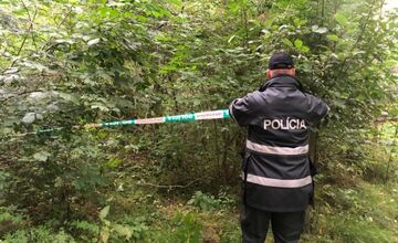 FOTO: Muž našiel pri Trenčíne nevybuchnutú trieštivú mínu