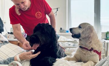 FOTO: Psia láska ako liek pre pacientov. Handlovská nemocnica prináša do terapie štvornohých odborníkov