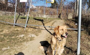 FOTO: Obyvateľom Trenčína uzatvorili priechod do lesoparku Brezina